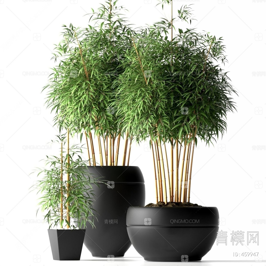 關鍵字: 現代 藤蔓/竹子植物花卉3d模型 現代竹子盆栽組合