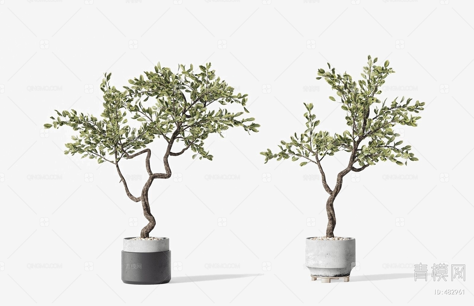 【盆栽盆景植物组合3D模型】-现代VR有灯光有贴图MAX2014盆栽盆景植物组合3d模型下载-ID482961-免费3Dmax模型库 - 青模 ...