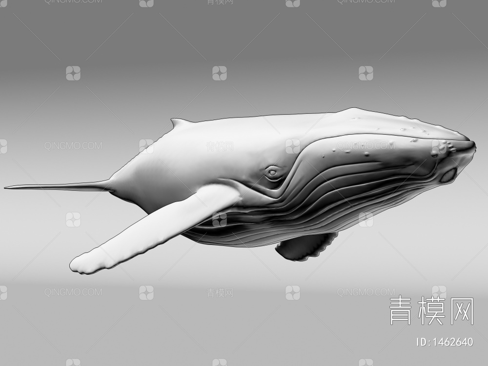 【鲸鱼3D模型】-现代VR有灯光有贴图MAX2016鲸鱼3d模型下载-ID1462640-免费3Dmax模型库 - 青模3d模型网