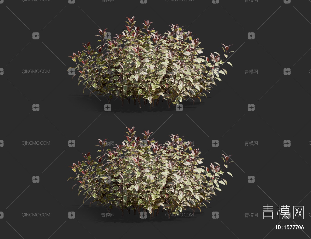 【鼠尾草3D模型】-现代无灯光有贴图MAX2016其他鼠尾草3d模型下载-ID1577706-免费3Dmax模型库 - 青模3d模型网