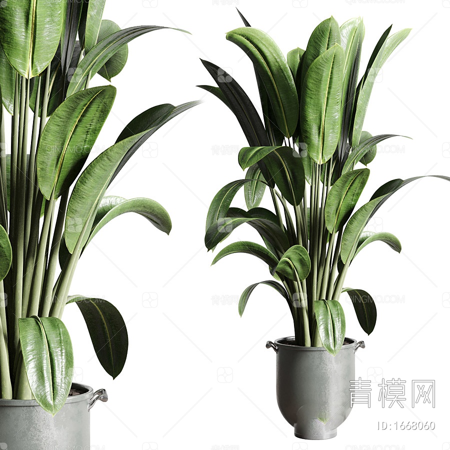 【绿植 植物 盆栽3D模型】-现代VR无灯光有贴图MAX2016绿植 植物 盆栽3d模型下载-ID1668060-免费3Dmax模型库 - 青 ...