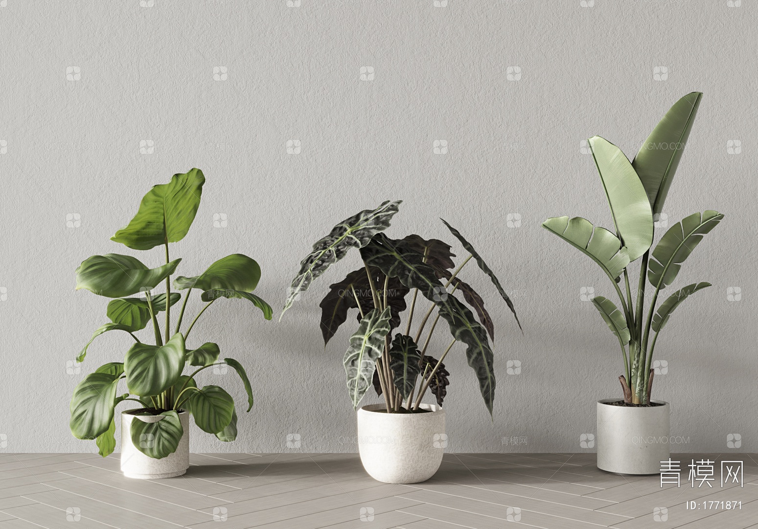 【植物，绿植，盆栽3D模型】-现代VR有灯光有贴图MAX2016植物，绿植，盆栽3d模型下载-ID1771871-免费3Dmax模型库 - 青 ...