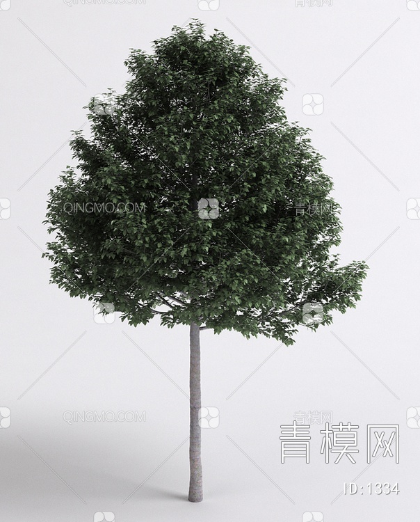 阔叶树3D模型下载【ID:1334】