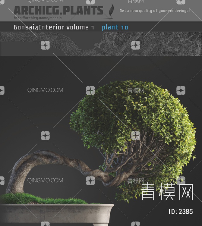 盆栽植物3D模型下载【ID:2385】