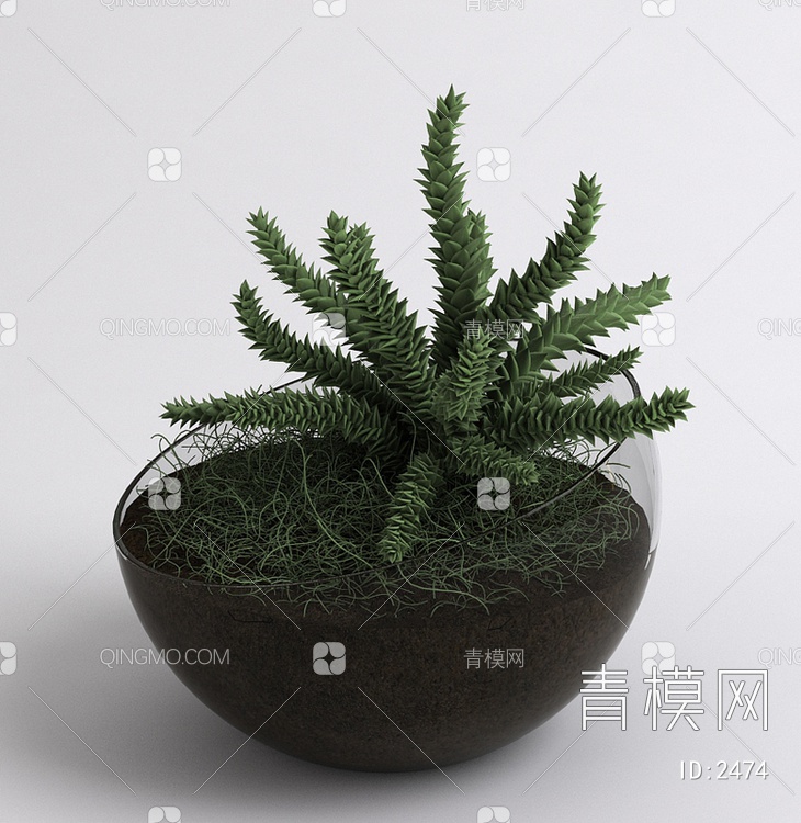室内植物盆栽3D模型下载【ID:2474】