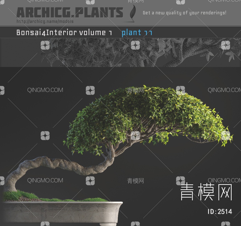 盆栽植物3D模型下载【ID:2514】