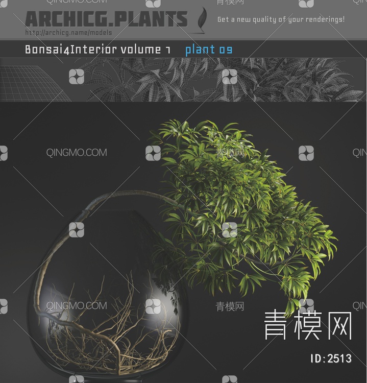 盆栽植物3D模型下载【ID:2513】
