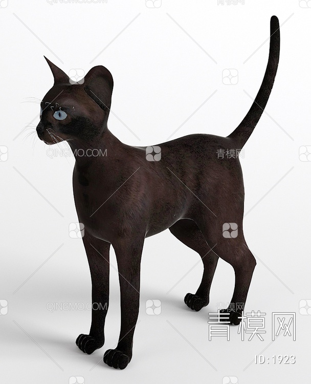 黑猫小猫宠物猫3D模型下载【ID:1923】
