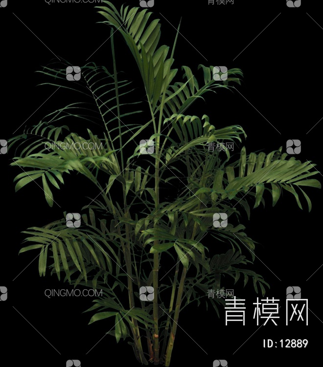 草psd下载【ID:12889】