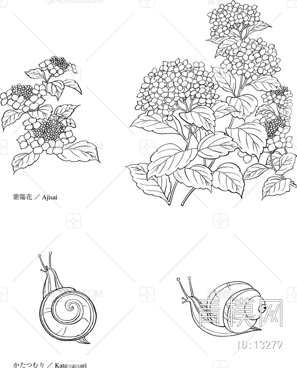 紫阳花与蜗牛【ID:13279】