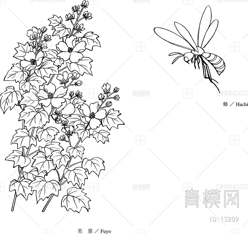 蜜蜂与芙蓉花【ID:13289】
