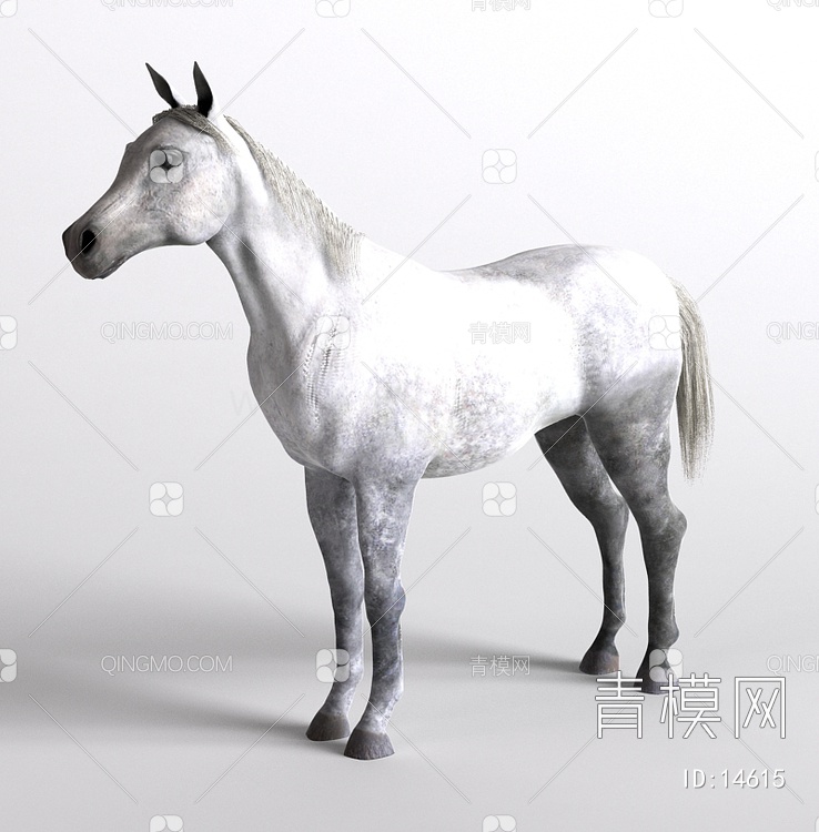 哺乳动物马3D模型下载【ID:14615】