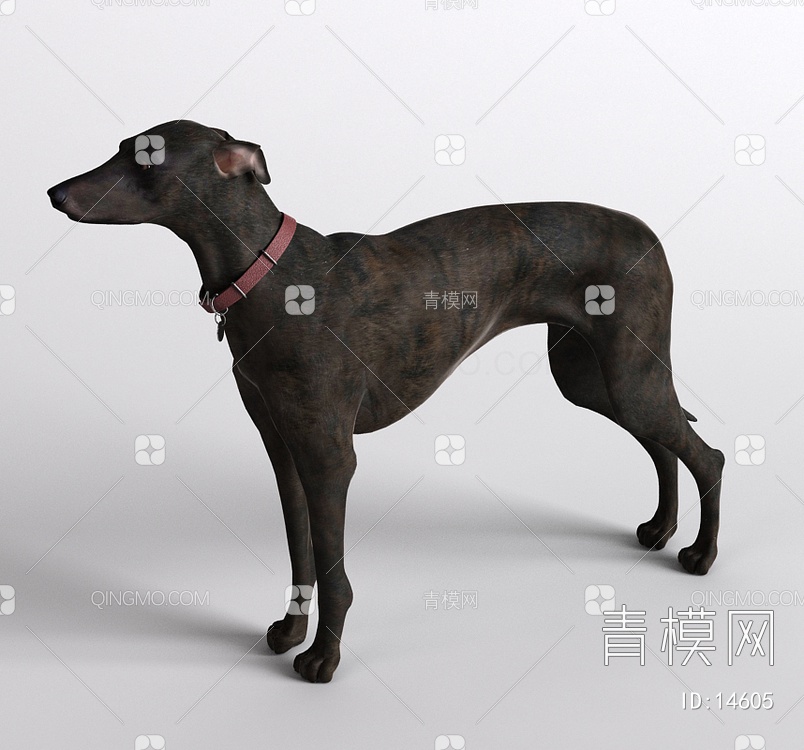哺乳动物狗3D模型下载【ID:14605】