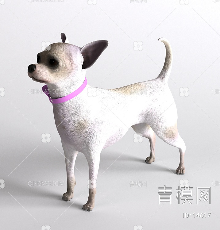 哺乳动物狗3D模型下载【ID:14617】