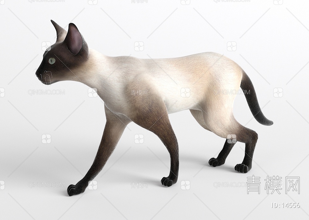 哺乳动物3D模型下载【ID:14556】