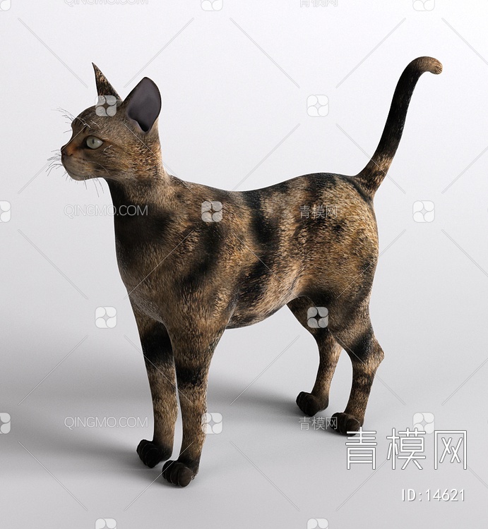 哺乳动物猫3D模型下载【ID:14621】
