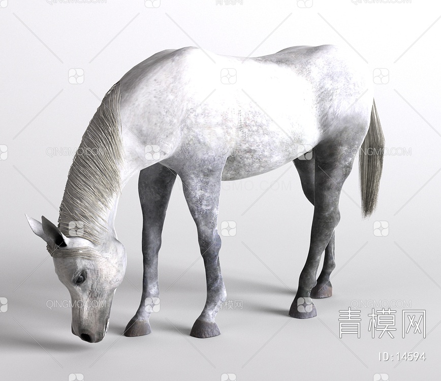 哺乳动物马3D模型下载【ID:14594】