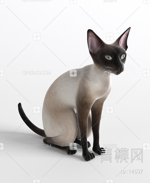 哺乳动物猫3D模型下载【ID:14637】