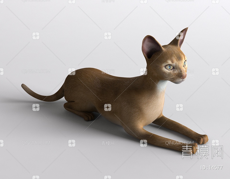 哺乳动物3D模型下载【ID:14577】