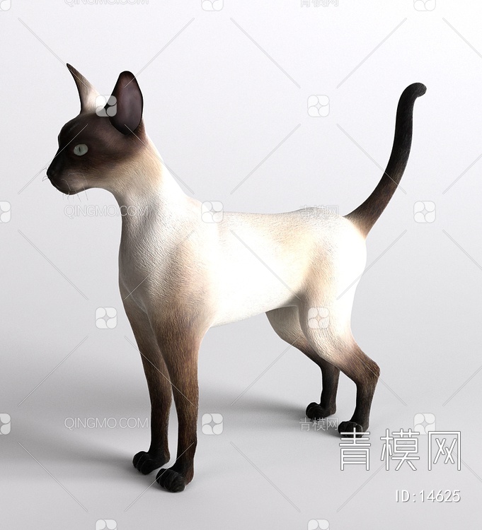 哺乳动物猫3D模型下载【ID:14625】