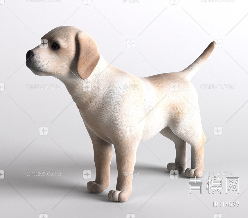 哺乳动物狗3D模型下载【ID:14599】