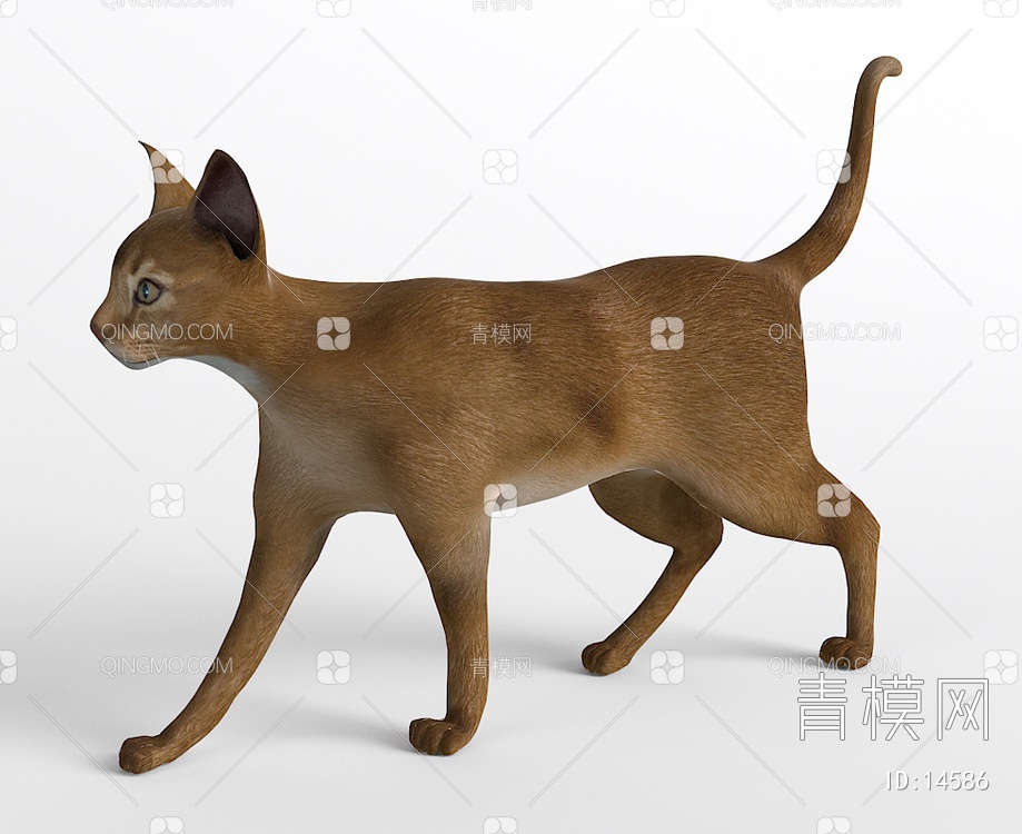 哺乳动物猫3D模型下载【ID:14586】