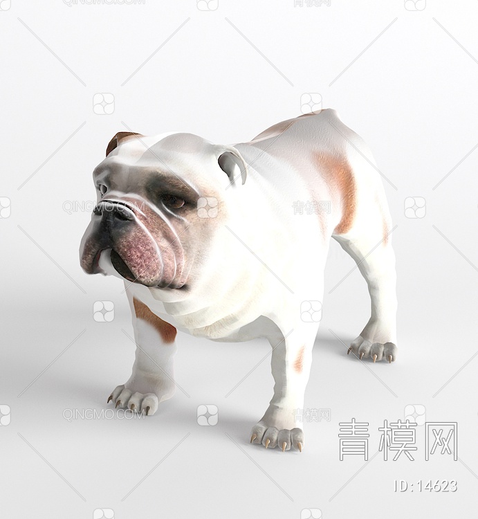 哺乳动物狗斗牛犬3D模型下载【ID:14623】