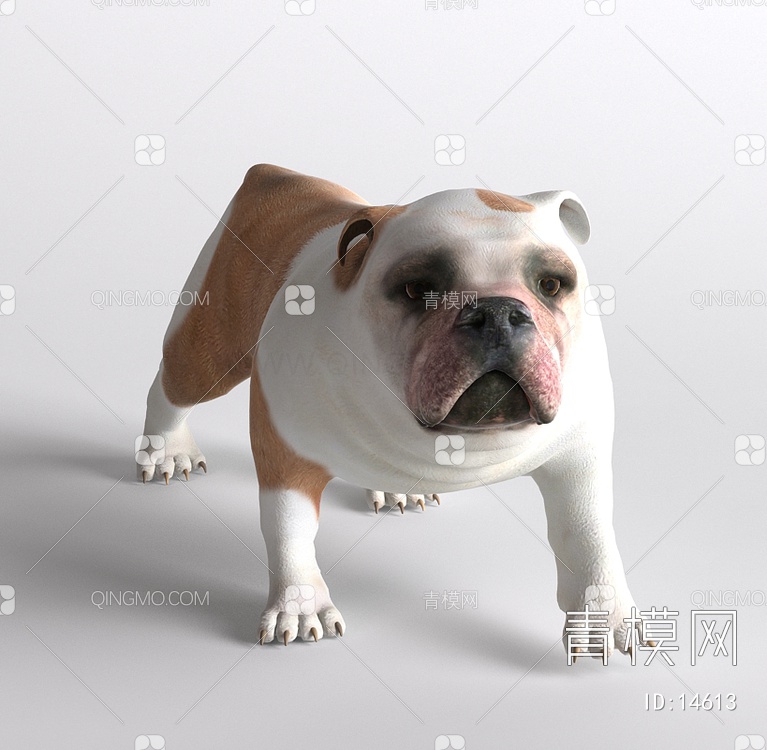 哺乳动物斗牛犬狗3D模型下载【ID:14613】