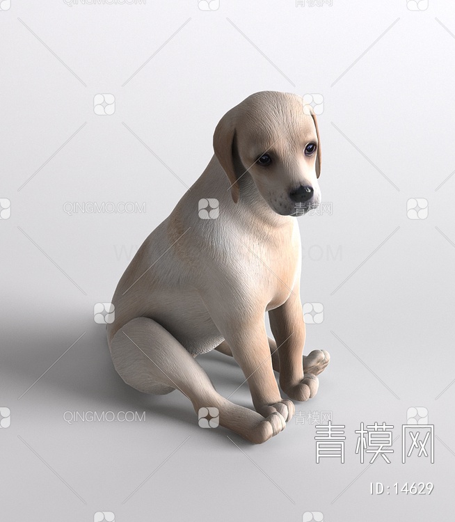 哺乳动物小狗3D模型下载【ID:14629】