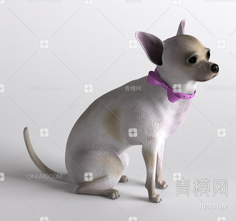 哺乳动物吉娃娃狗3D模型下载【ID:14609】