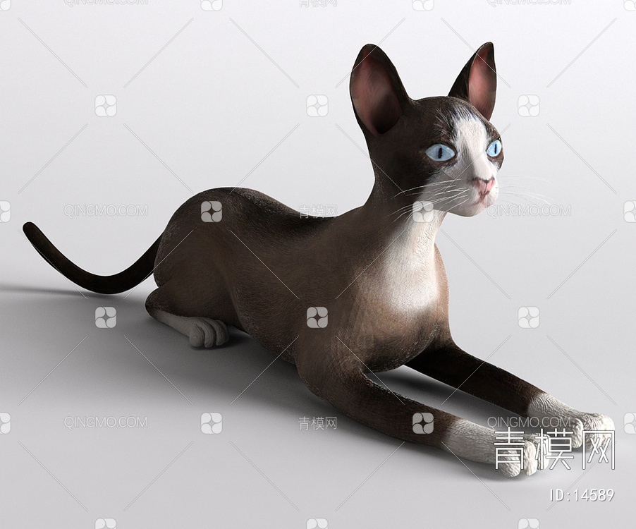 哺乳动物猫3D模型下载【ID:14589】