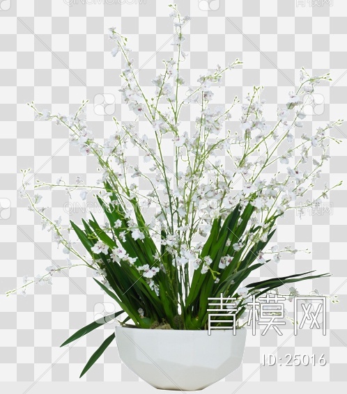 室内植物psd下载【ID:25016】