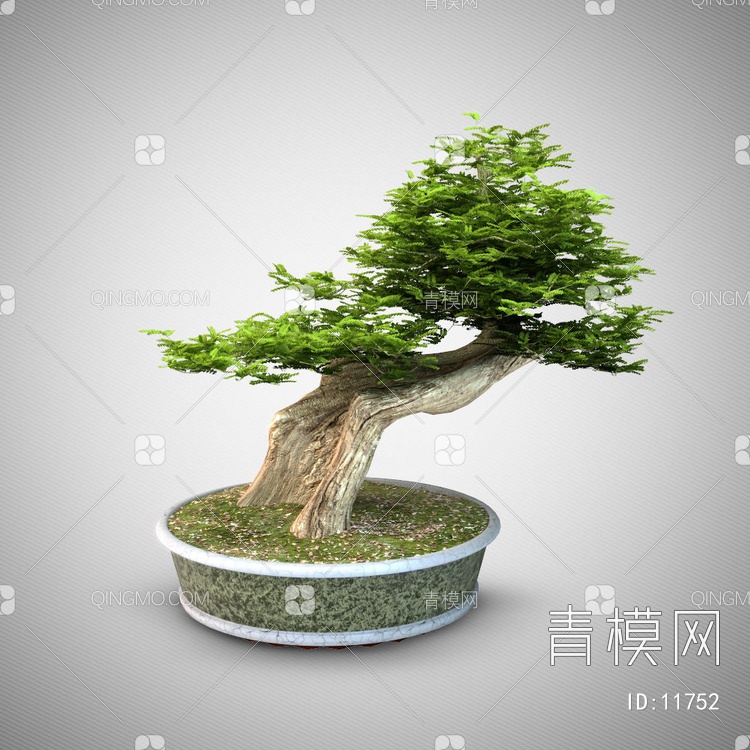 盆栽植物3D模型下载【ID:11752】