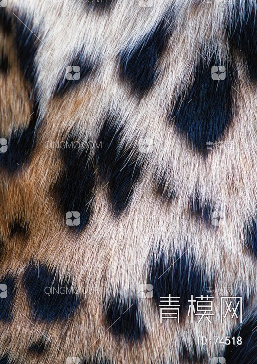 地毯集虎豹虎豹 (31)贴图下载【ID:74518】