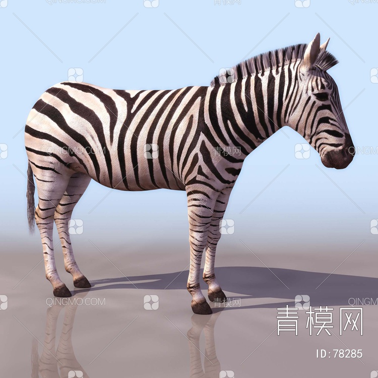 斑马3D模型下载【ID:78285】