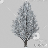 冬天树3D模型下载【ID:84054】