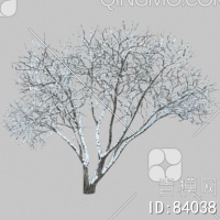 冬天树3D模型下载【ID:84038】