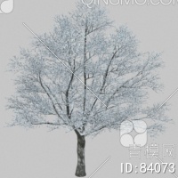 冬天树3D模型下载【ID:84073】
