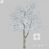 冬天树3D模型下载【ID:84071】
