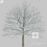 冬天树3D模型下载【ID:84074】