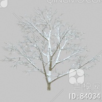 冬天树3D模型下载【ID:84034】
