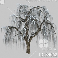 冬天树3D模型下载【ID:84062】
