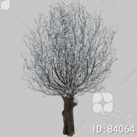 冬天树3D模型下载【ID:84064】