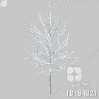 冬天树3D模型下载【ID:84021】