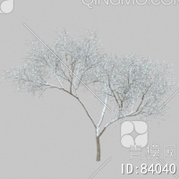冬天树3D模型下载【ID:84040】