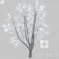 冬天树3D模型下载【ID:84005】