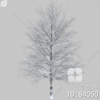 冬天树3D模型下载【ID:84050】
