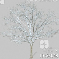 冬天树3D模型下载【ID:84048】