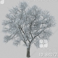冬天树3D模型下载【ID:84072】