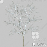 冬天树3D模型下载【ID:84036】
